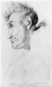 Låst inne som gal, etter å ha myrdet sin elsker og funnet jomfru ved hennes død, illustrasjon fra en upublisert avhandling av Jean Etienne Dominique Esquirol (1772-1840) om galningene til Salpetriere a